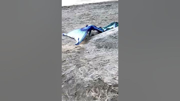 Real Mermaid Found on the Beach at Local Lake 🤯 JK I made this!