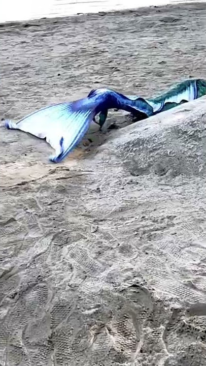 Real Mermaid Found on the Beach at Local Lake 🤯 JK I made this!