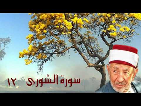 تفسير وتدبر سورة الشورى وهو الذي ينزل الغيث من بعد ما قنطوا وينشر رحمته للشيخ البوطي رحمه الله