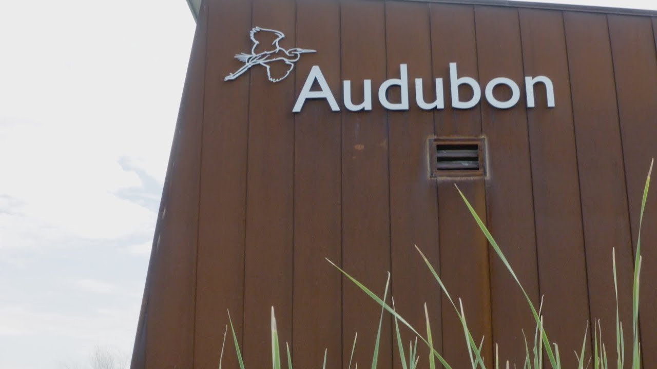 Visit the Audubon Center to Get More Connected to Nature