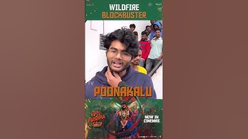 #Pushpa2TheRule is an absolute WILDFIRE at the box office 💥💥💥 | #WIldFireBlockbuster In Cinemas