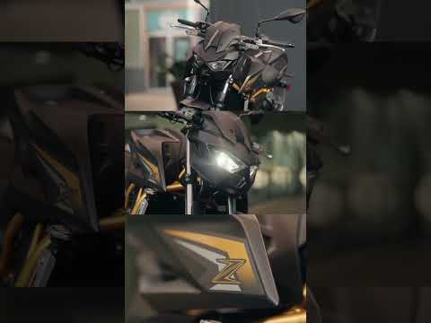The Z650 S brings the best of the Z spirit to every ride