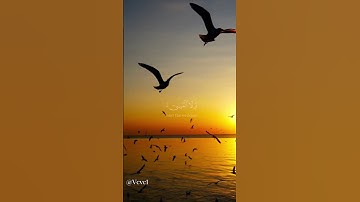 القرآن الكريم بصوت الشيخ ياسر الدوسري #القرآن #quran
