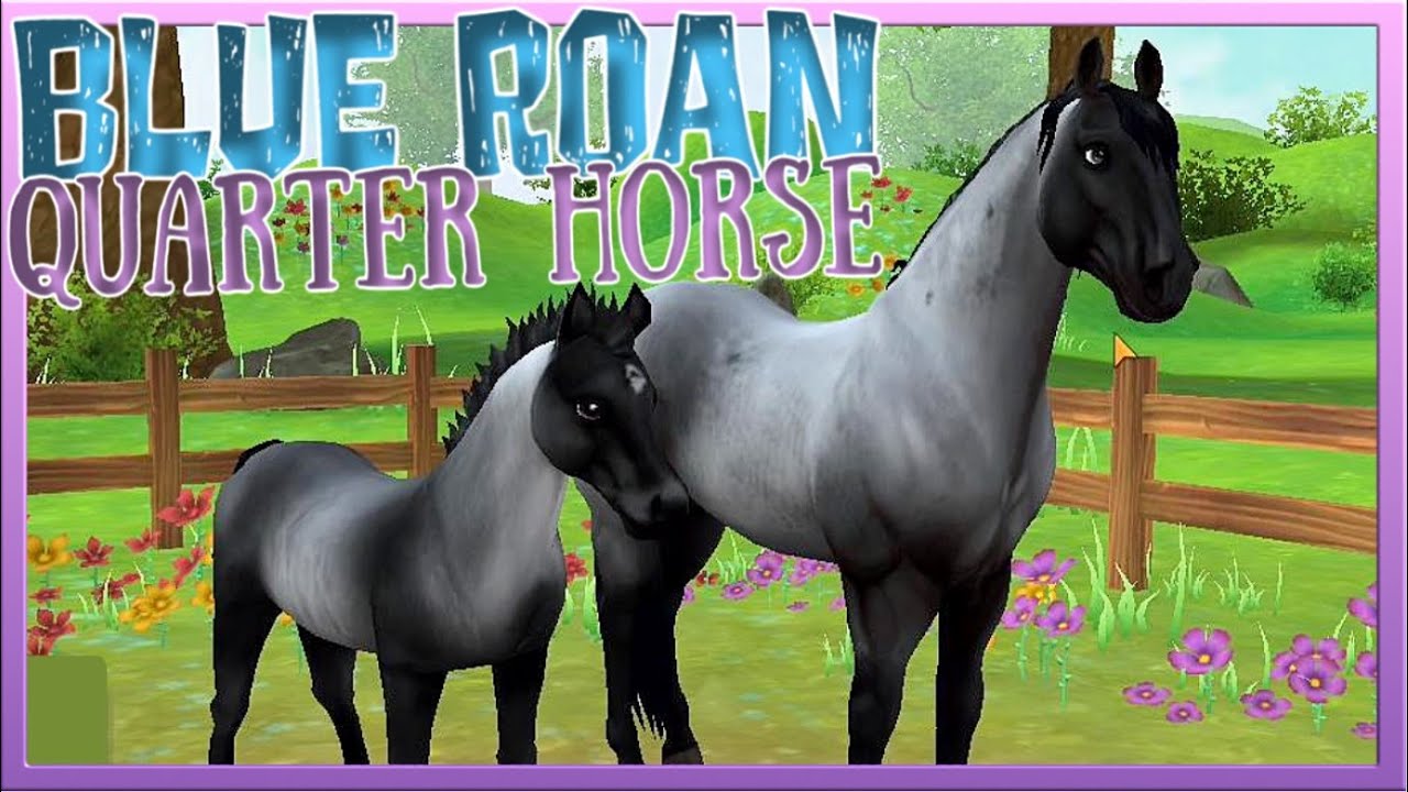Unser QUARTER HORSE in BLUE ROAN 🐴💙 aus der Star Stable Horses App [SSO