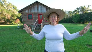 Homestead Tour Summer 2022 (log cabin, chickens, raised garden, pony)