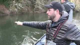 Olympic Peninsula Steelhead