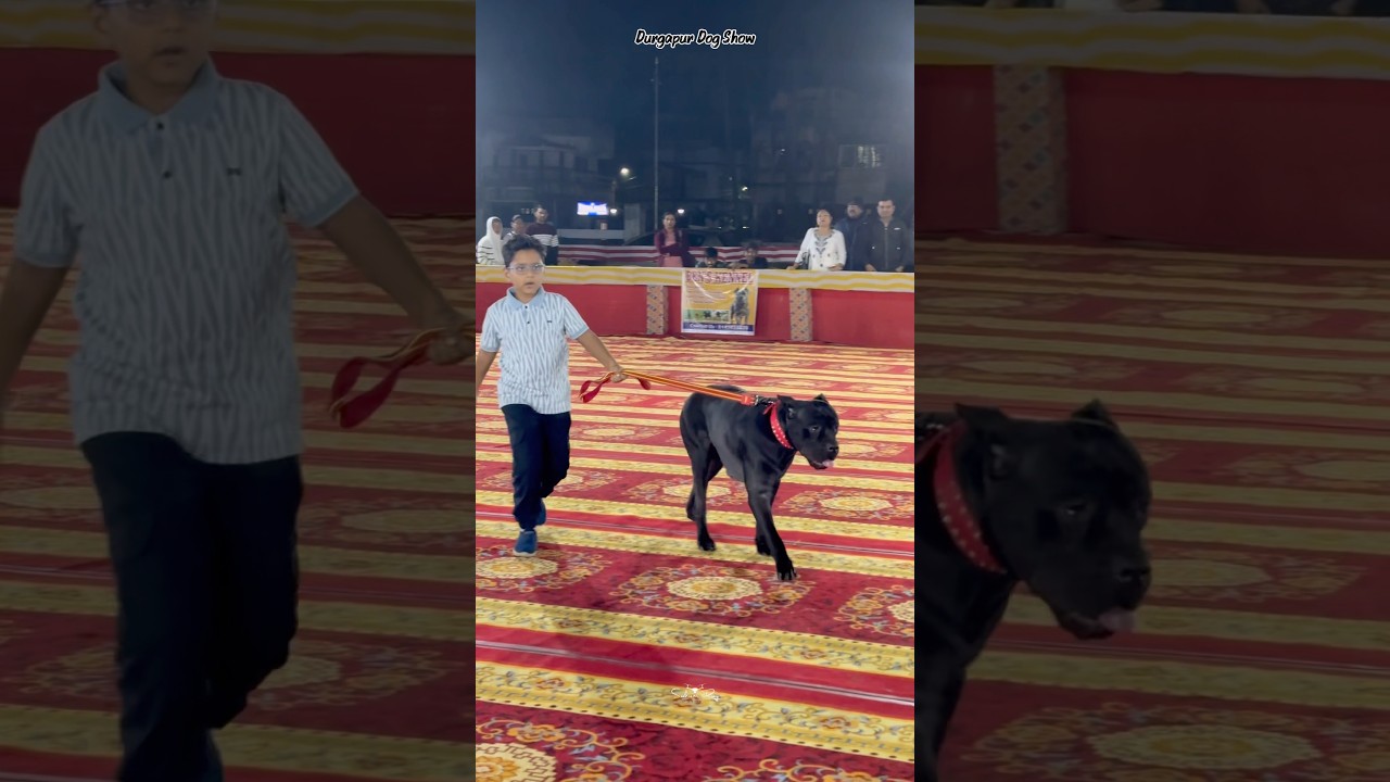 Durgapur Dog Show 2026🐾🐶 