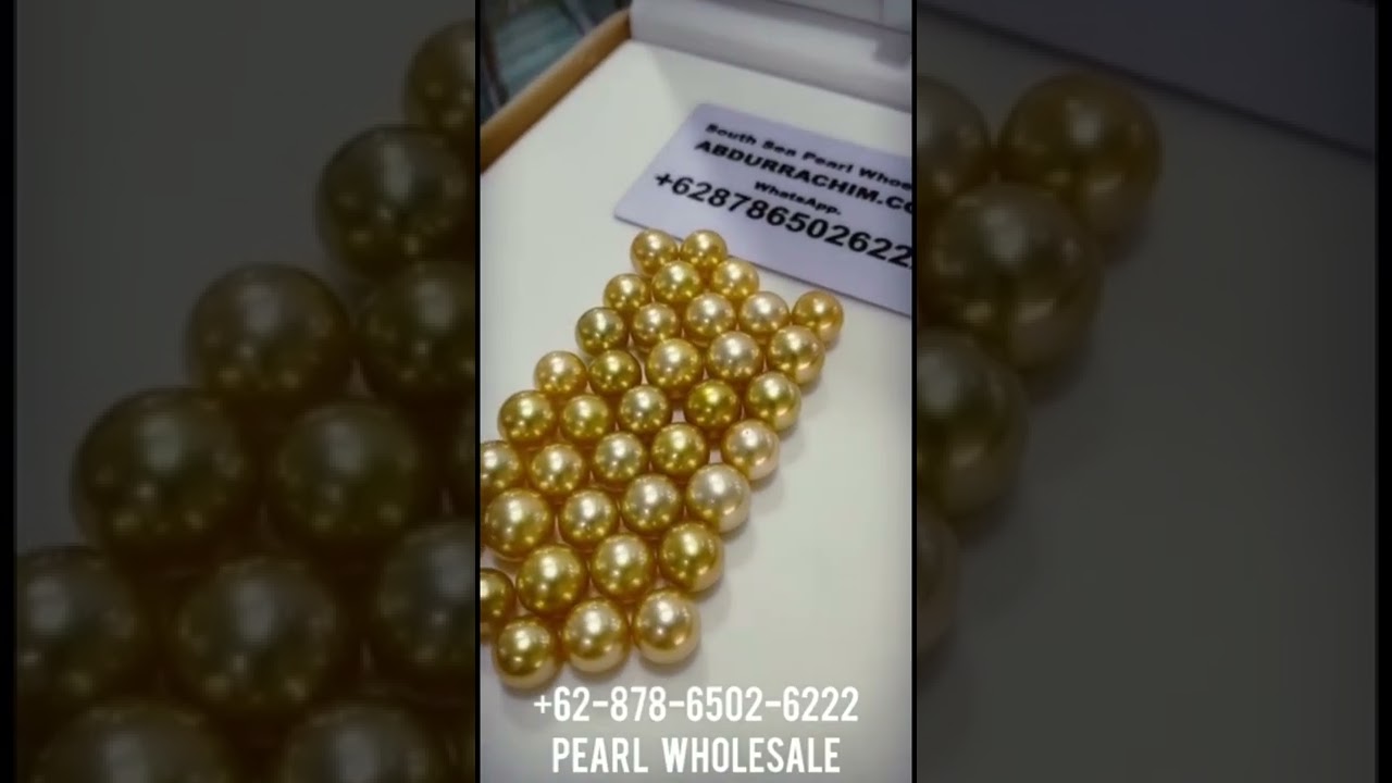 South Sea Pearl Wholesale for more information click whatsapp +62 878-6502-6222