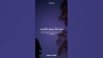 تلاوة تقشعر لها الأبدان وتهز القلوب 🌿✨️♥️ #اكتب_شي_تؤجر_عليه #قرآن #اكسبلور #اجر_لي_ولك #لايك
