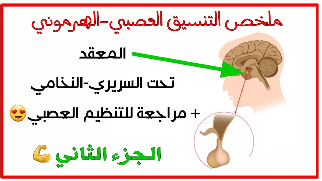 هرمونات GnRH /FSH/LH والإفرازات المبيضية[الوحدة3:التنسيق العصبي-الهرموني] ثانية ثانوي