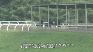 ペルランドール（ホリデイトウショウの15）20170801
