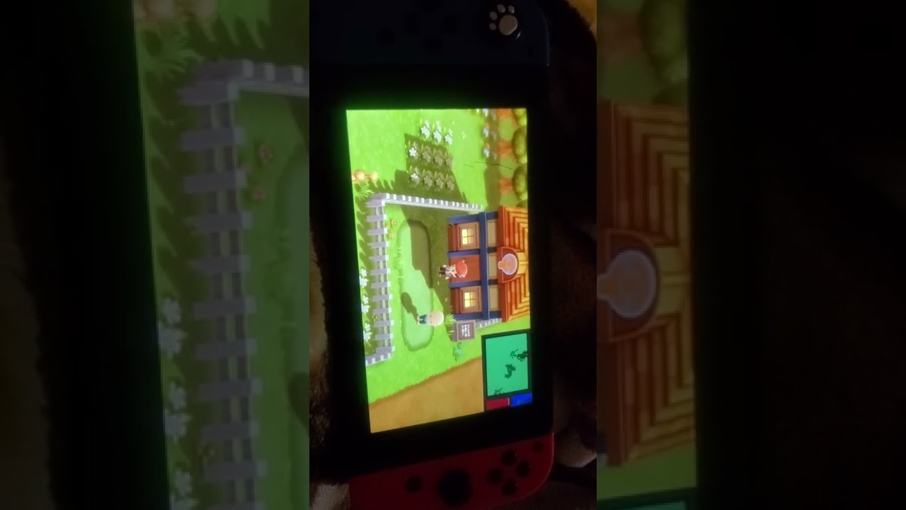 how to breed your lucario to max IV using ditto the fastest way BDSP (brilliant diamond)