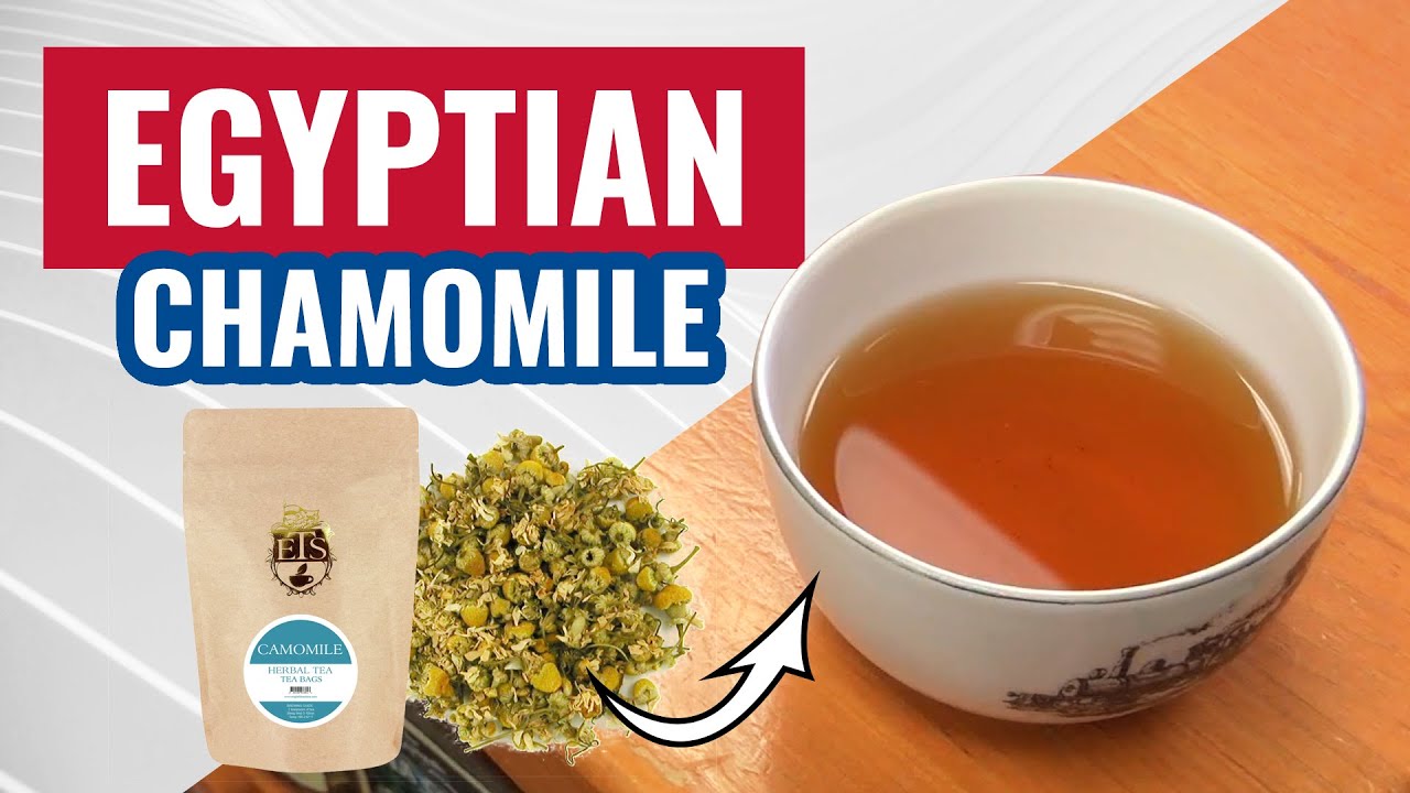 Egyptian Chamomile 