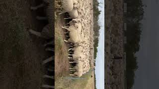 IMG 4660