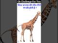 Gk questions in hindi | ssc gk | liner gk | education 3d | #gkinhindi #gkshorts #shorts