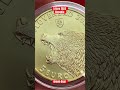 5 euro 2023 Slovakia Collector 40.000 coins