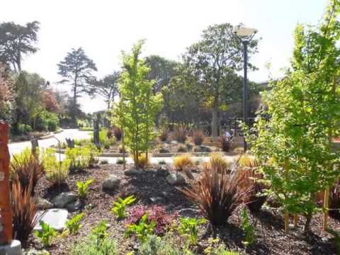 300 Naglee Ave, San Francisco, CA home video tour