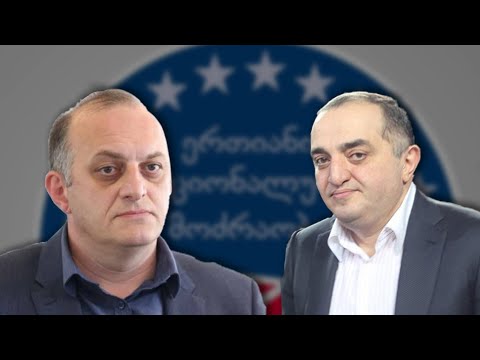 ზოდელავა, ნაყოფია - ენმ-ის მაჟორიტარობის კანდიდატები?