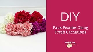 Famous How to Make a Faux Peonies by Using Fresh Carnations Profile
