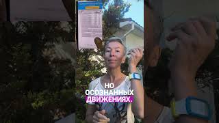 #омоложение #гуаша #массаж #натуральнаякосметика #уходзалицом