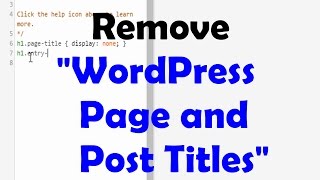Quickly Remove page titles and post titles in WordPress | 2 methods