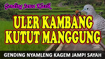 Gending Jawa Klasik Uler Kambang Kutut Manggung - Uyon uyon Gending Kagem Jampi Sayah