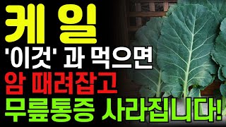 케일 '이렇게' 먹으면 당뇨병과 암에 최고! 케일과 함께 먹으면 보약되는 음식3가지. 골밀도 높이는 요리법! 골다공증이라면 무조건 보세요!