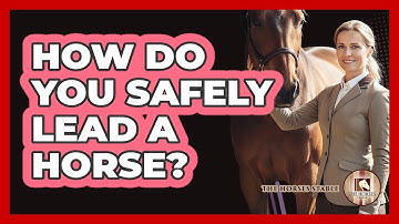 How Do You Safely Lead A Horse?