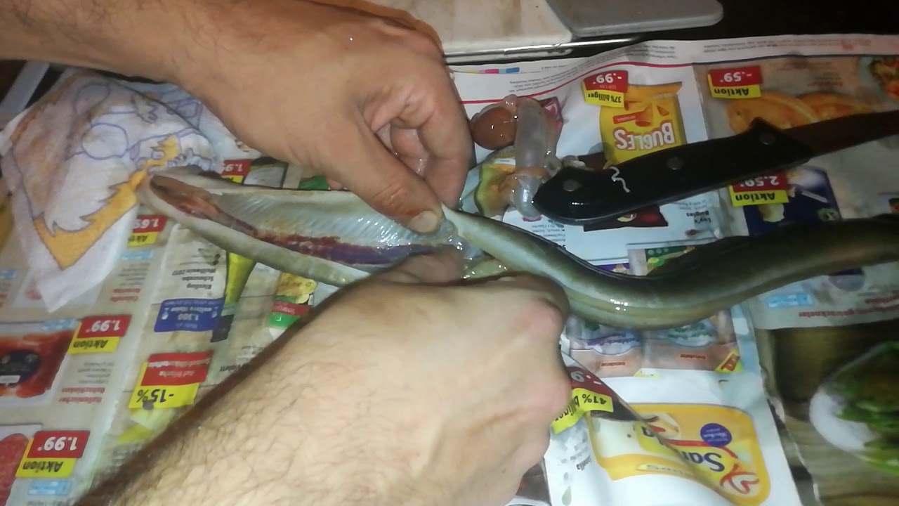 How to Clean Eel