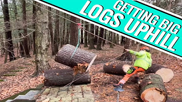Getting big logs uphill!
