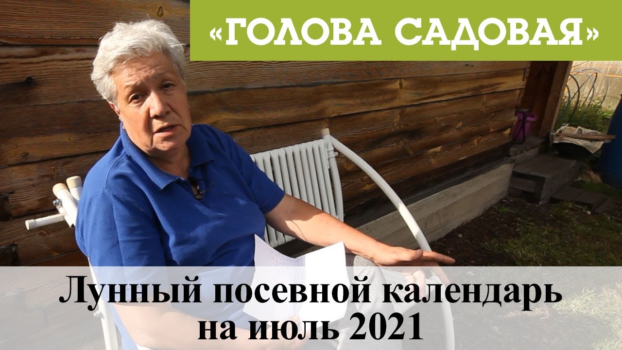 Голова Садовая 2022 Год Новые Видео