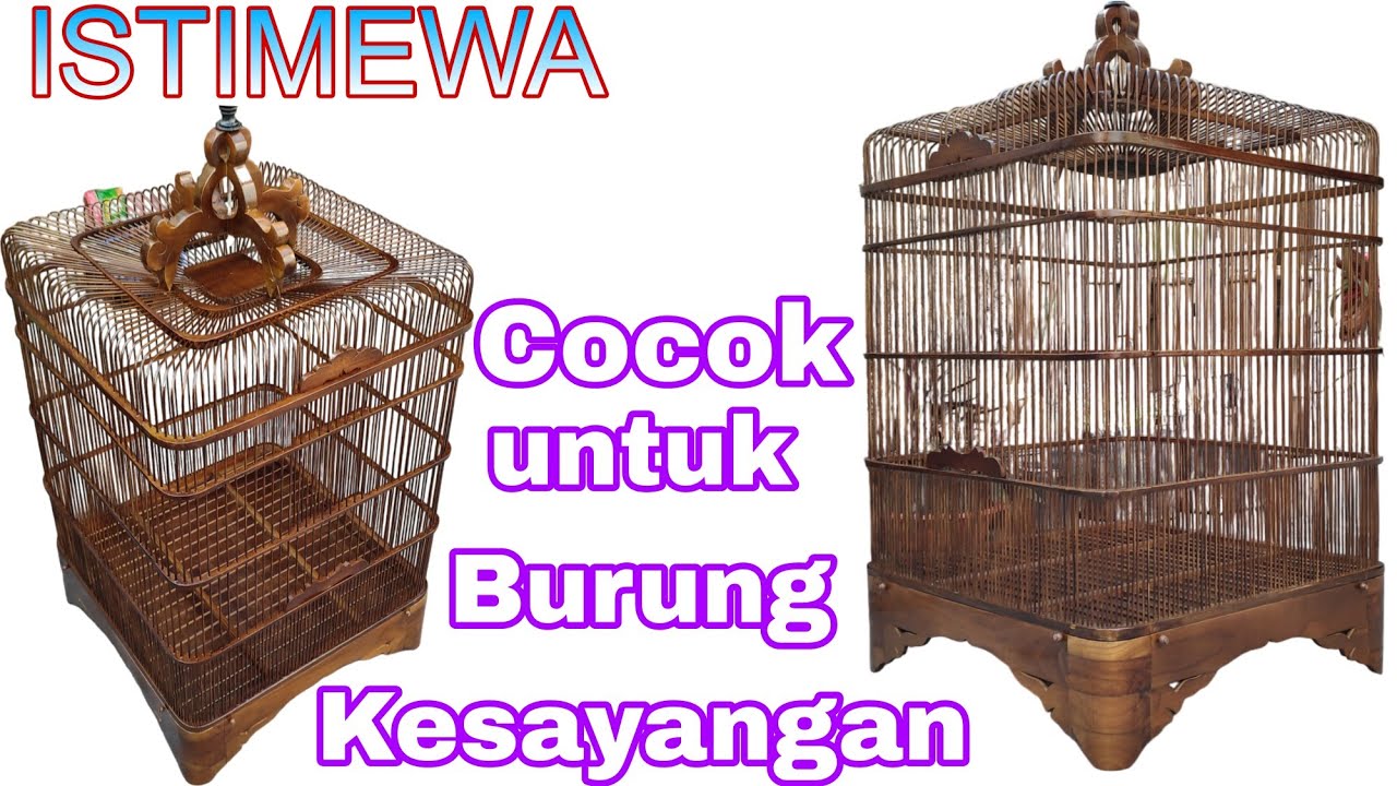 Simpel dan Mudah‼️Full Tutorial pembuatan Sangkar Oval Kayu Jati