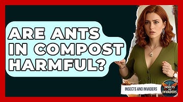 Are Ants In Compost Harmful? - Insects and Invaders