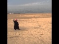 بقى يروح صيد طيور