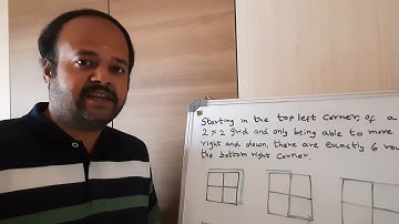 Path Counting in Lattice Grid | Dynamic Programming | Discrete Math | Project Euler