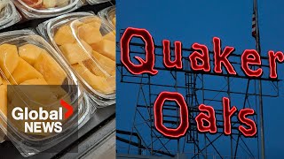 Science behind salmonella: Quaker Oats latest company to recall products over contamination fears