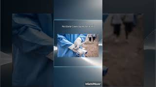 Kenya: Court Halts US Ebola Quarantine Unit Plan