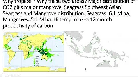 Scrubbing carbon from the atmosphere biologically ...