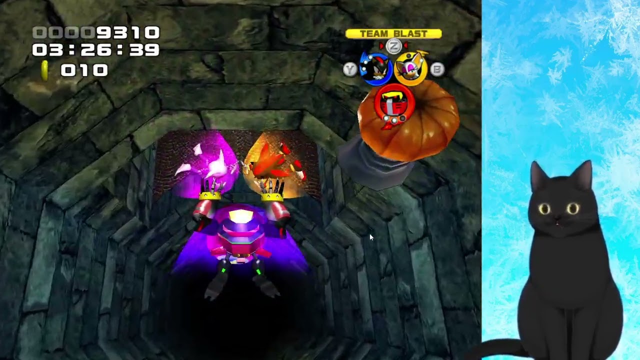 Кот проходит Соник Хироус и Полового рыцаря