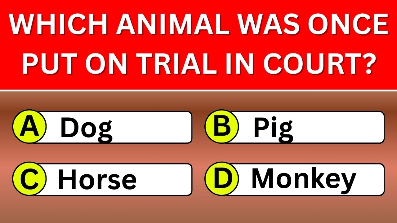 How Sharp Is Your Brain? 🧠 40 General Knowledge Questions with Answers! | Wisdom Daily Quiz