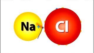 أيه الفرق بين الفيزياء والكيمياء والأحياء