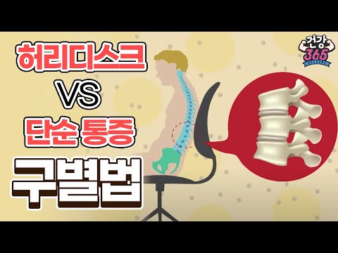   허리디스크 Vs 단순 통증 구별법 YTN 라이프