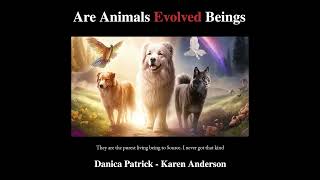 Karen Anderson | Are Animals Evolved Beings | Ep. 228 #shorts
