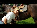Easy way to Swing Heavy Saddle onto a Horse