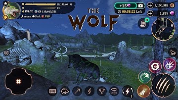 🔴 LIVE | The Wolf: Online RPG Simulator Swift Apps LTD | Quest | CO-OP and PVP |