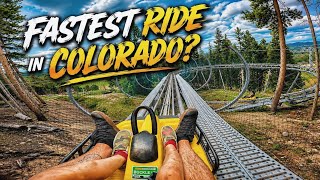 GOLD RUNNER Alpine Coaster. Breck Connect MOOSE ENCOUNTER! Breckenridge, Colorado