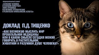 Доклад П.Д. Тищенко «Как возможно мыслить мир пренатальной медицины [...]»