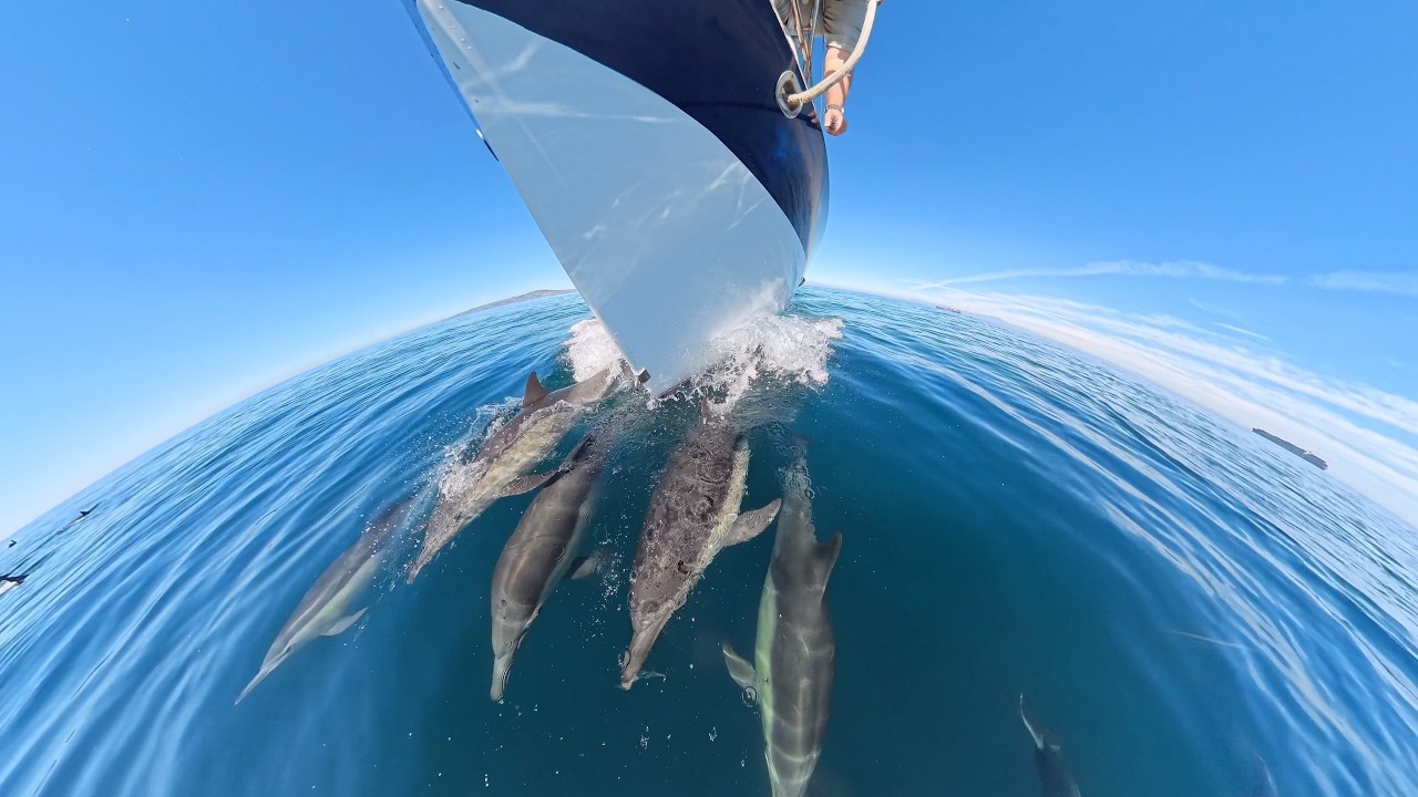 ⁣A Chill Weekend Trip to  White Cove, Catalina Island (Feb 2026)