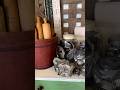 These Are A Few Of My Favorite Things - Antique Tin Primitive Handmade Cookie Cutters #primitives