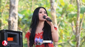 TEMBANG TRESNO   DESI TALITA   NEW PALLAPA IRENG COMMUNITY 2017